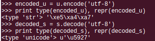 python-encode-vs-decode